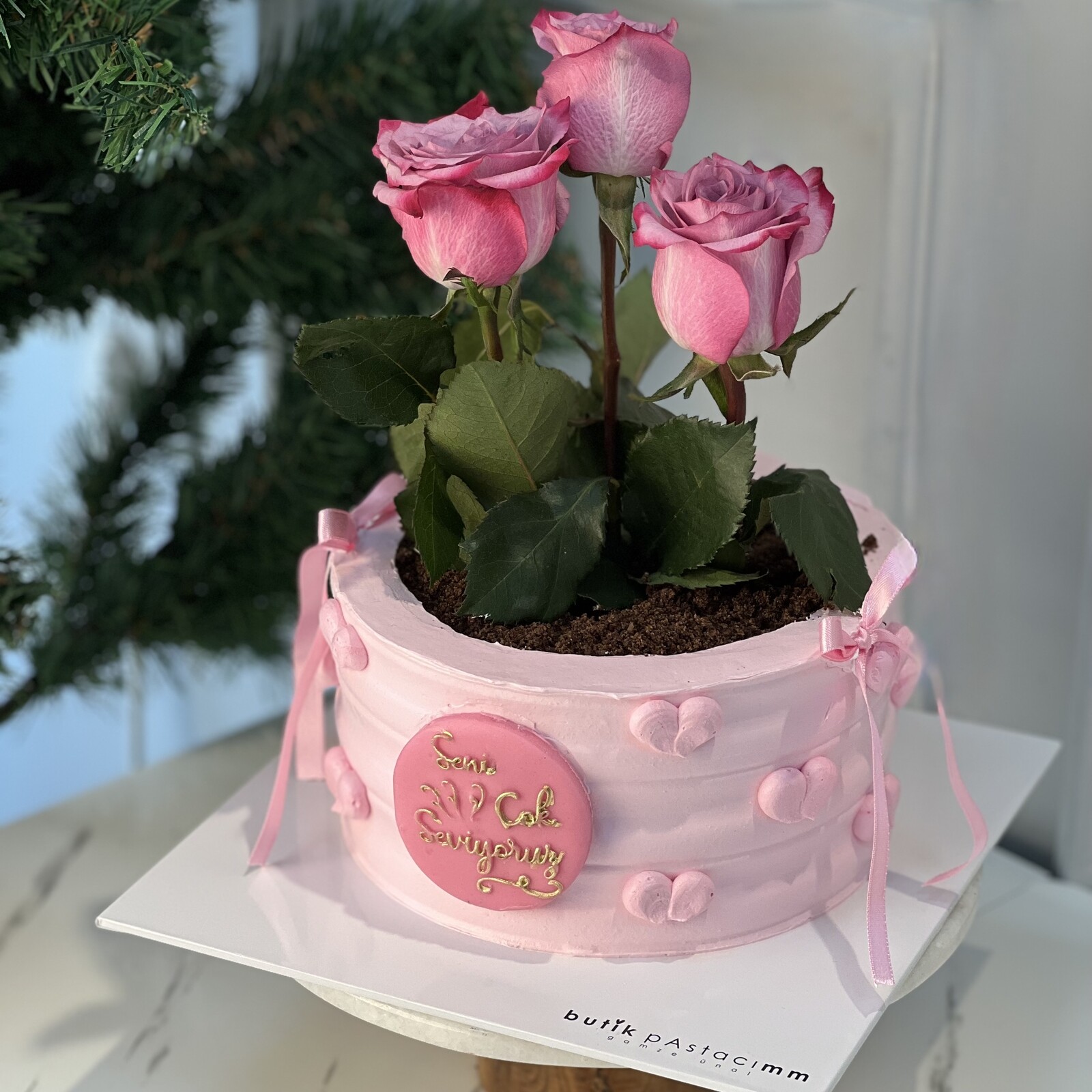 Anneler Günü Pastası (Saksıda Pembe Güllü Kurdeleli Pasta)